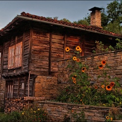 СЕЛА И ГРАДОВЕ