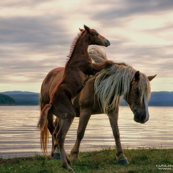 ЕЗЕРА И ЯЗОВИРИ